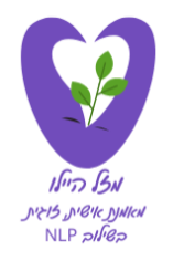 לוגו מבט הילד — אימון אישי לילדים NLP